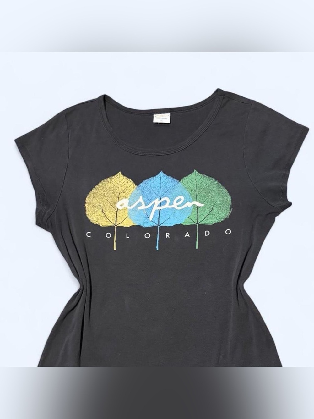 Y2K Aspen Graphic Baby Tee by Crazy Shirt!